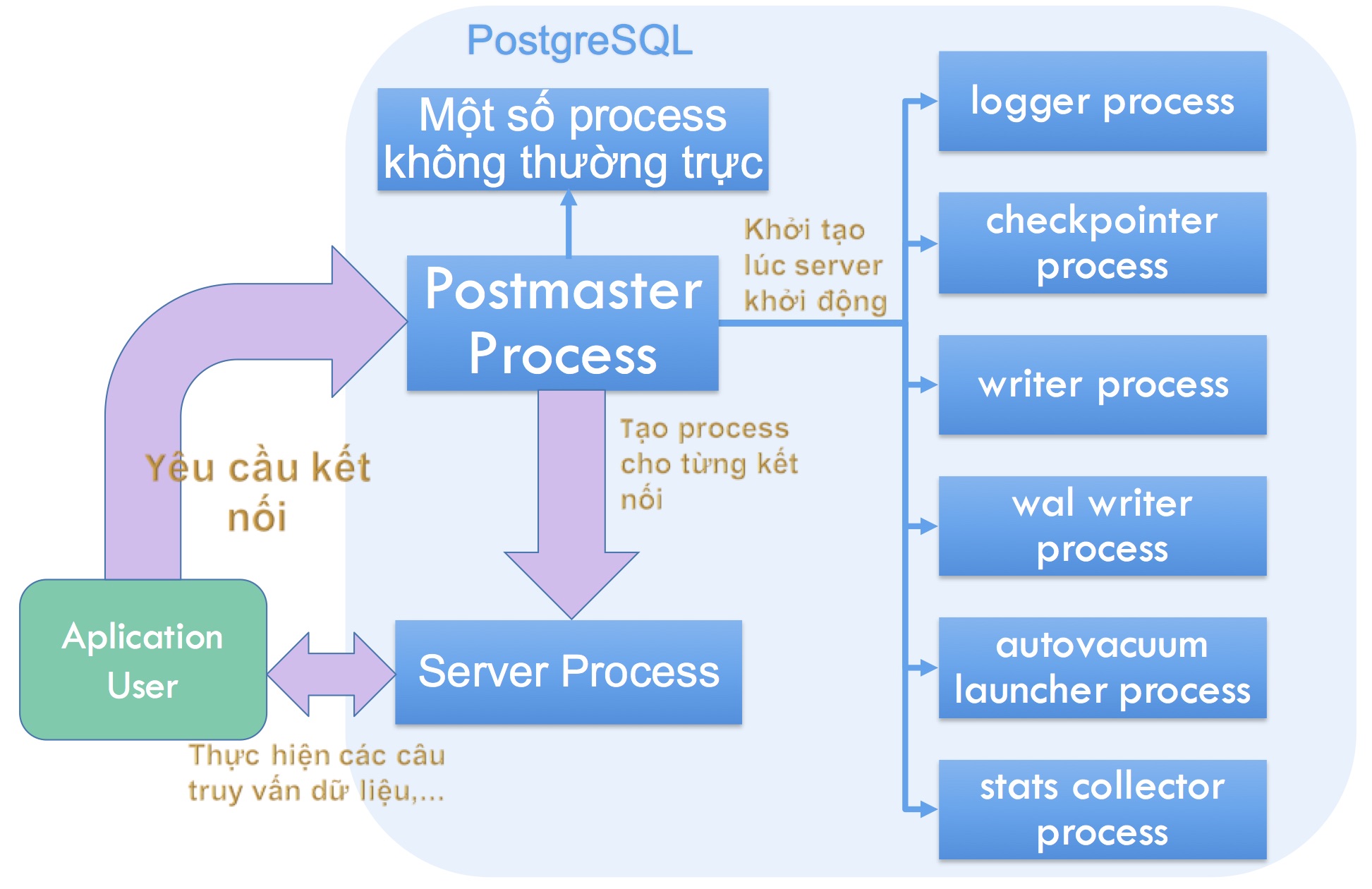 PostgreSQL processes