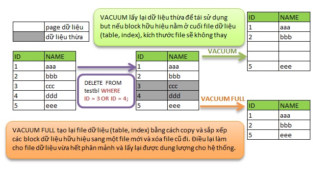 Tổng quan phân cấp đối tượng trong PostgreSQL